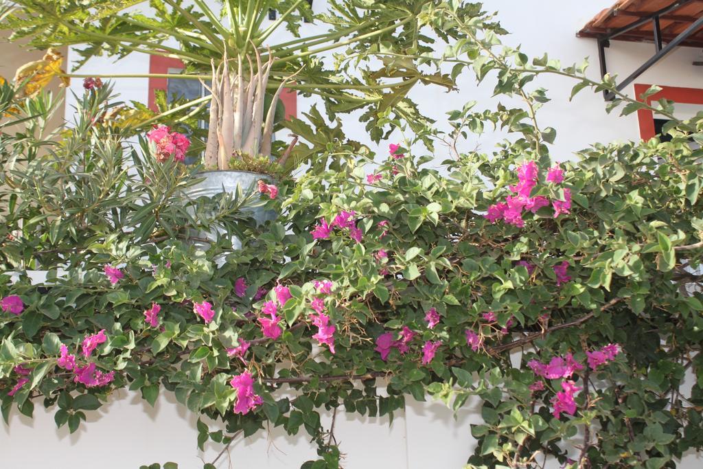 Bed and Breakfast Yria Residencial Porto Novo Esterno foto